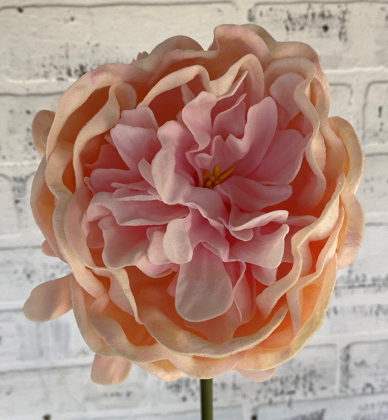 Real-touch' Peony Stem – The Address for Home Interiors