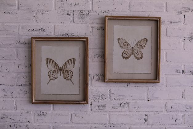 14" Butterfly Framed Prints
